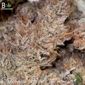 Trichome Reign